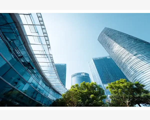 中医视角：张涤看咳嗽与脾胃调理之比较