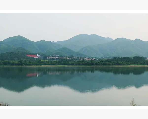 气血不足，奶水清澈——呵护妈咪健康的中医智慧