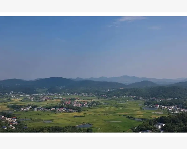 注册会计师考试制度全貌与通关路径